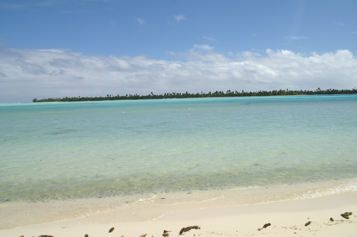 PICT0892.JPG