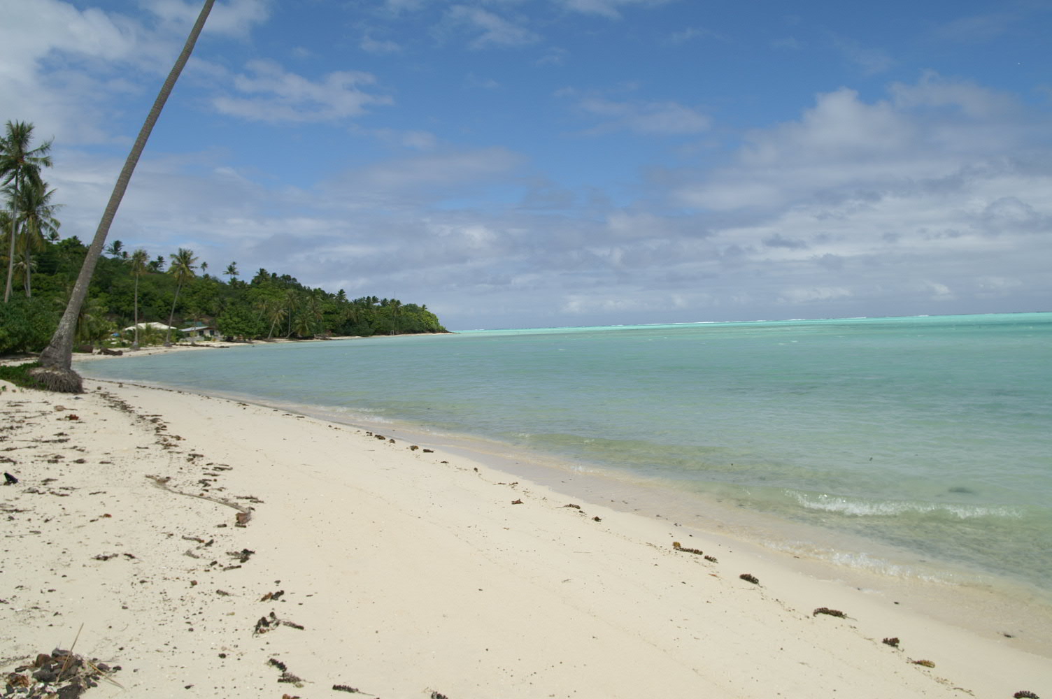 PICT0893.JPG