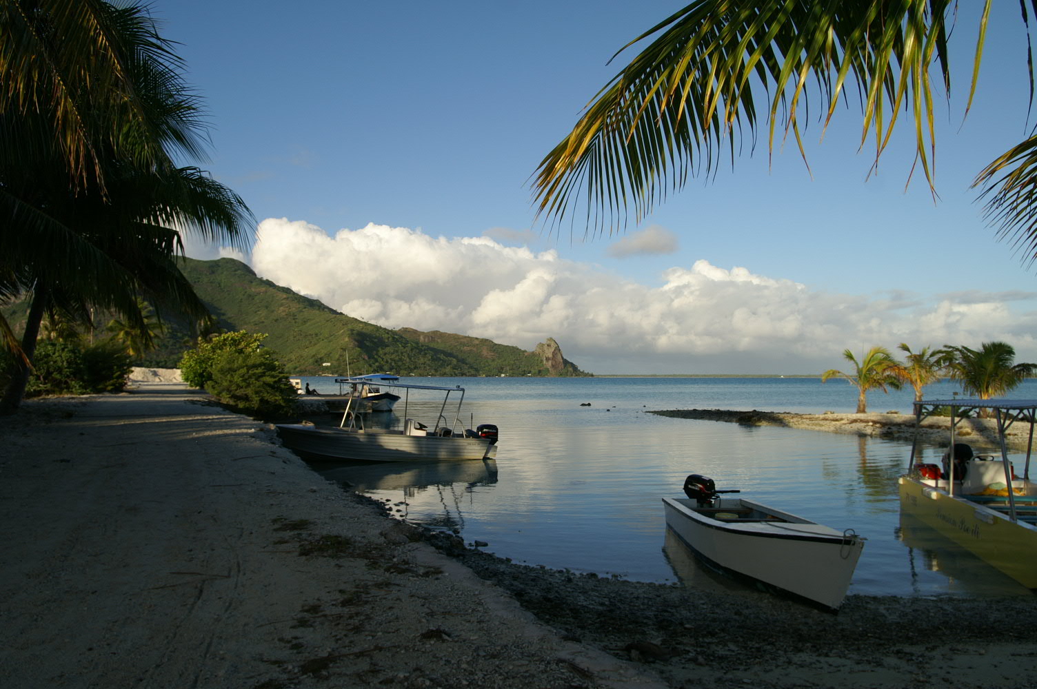 PICT0901.JPG