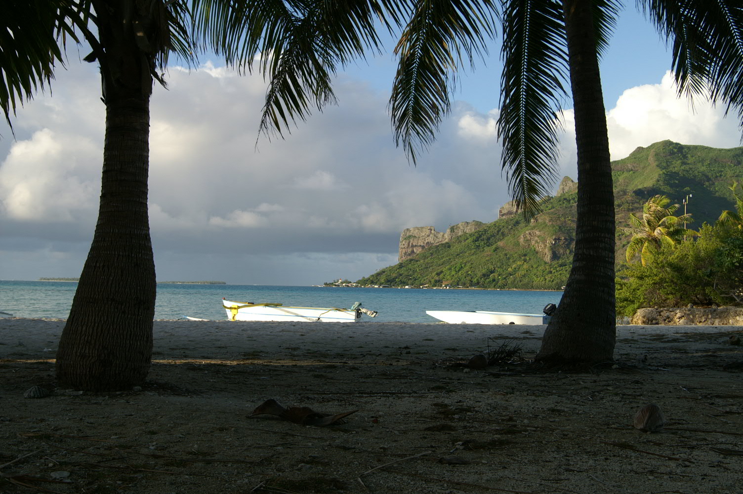 PICT0902.JPG