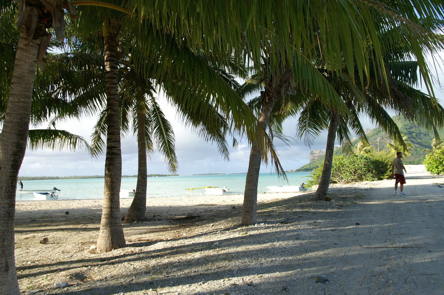 PICT0905.JPG