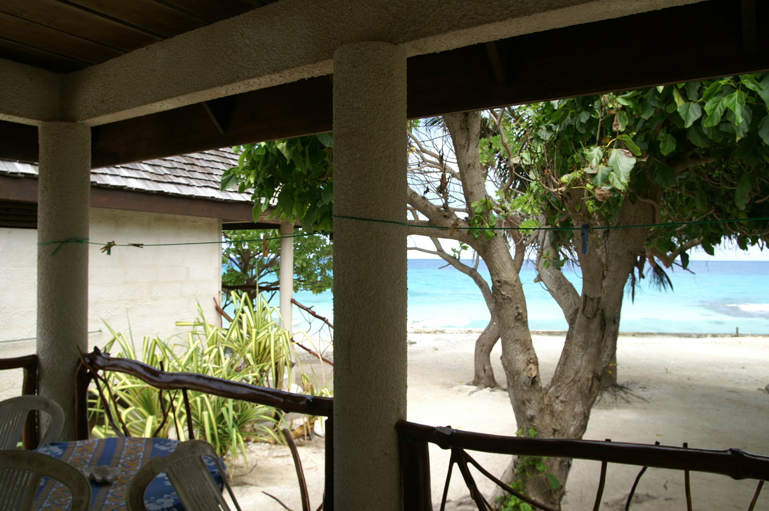 PICT0910.JPG