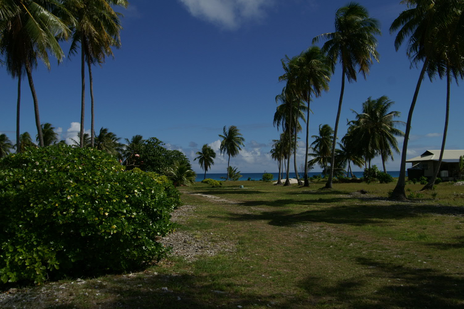 PICT0911.JPG