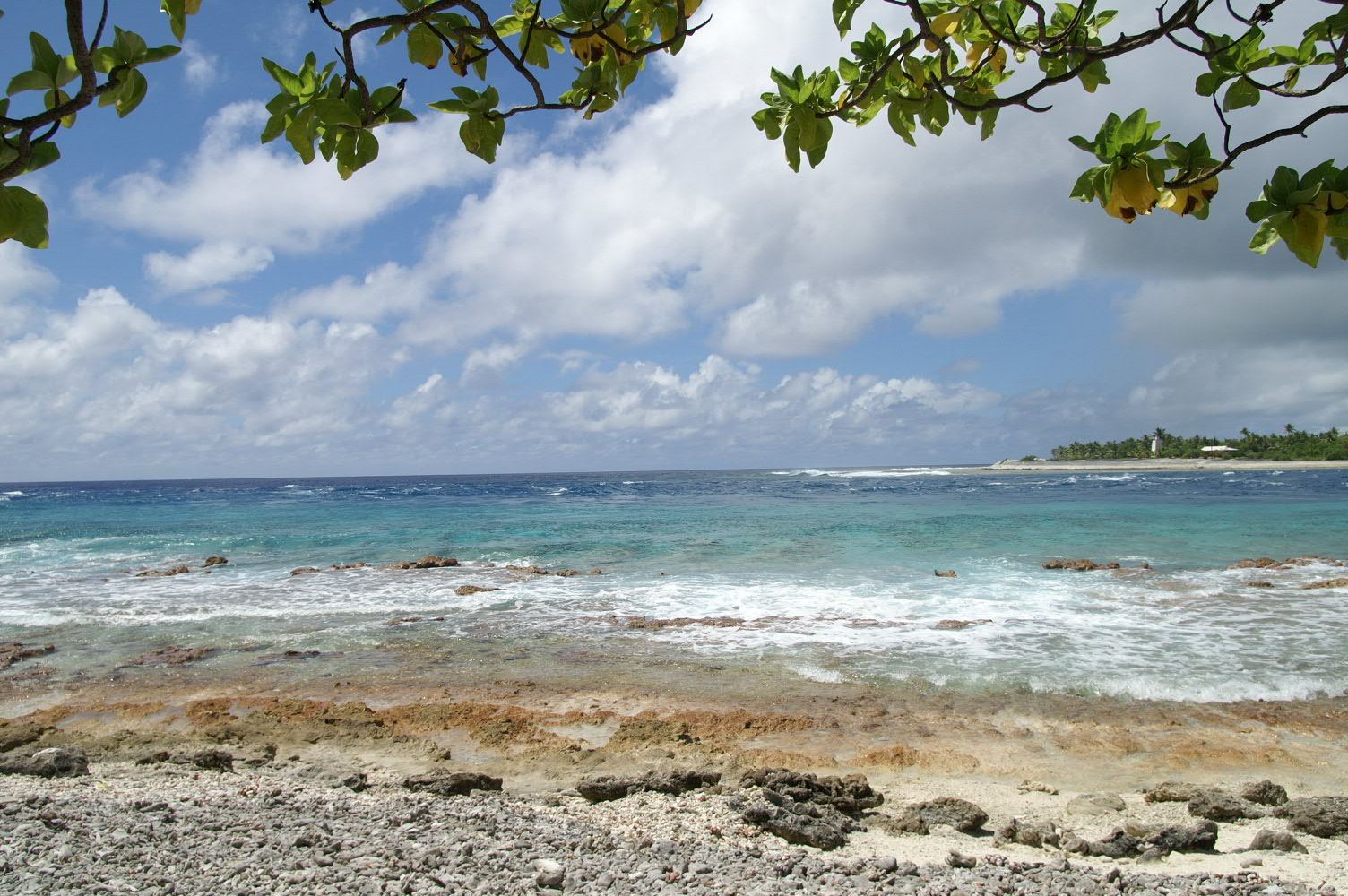 PICT0915.JPG