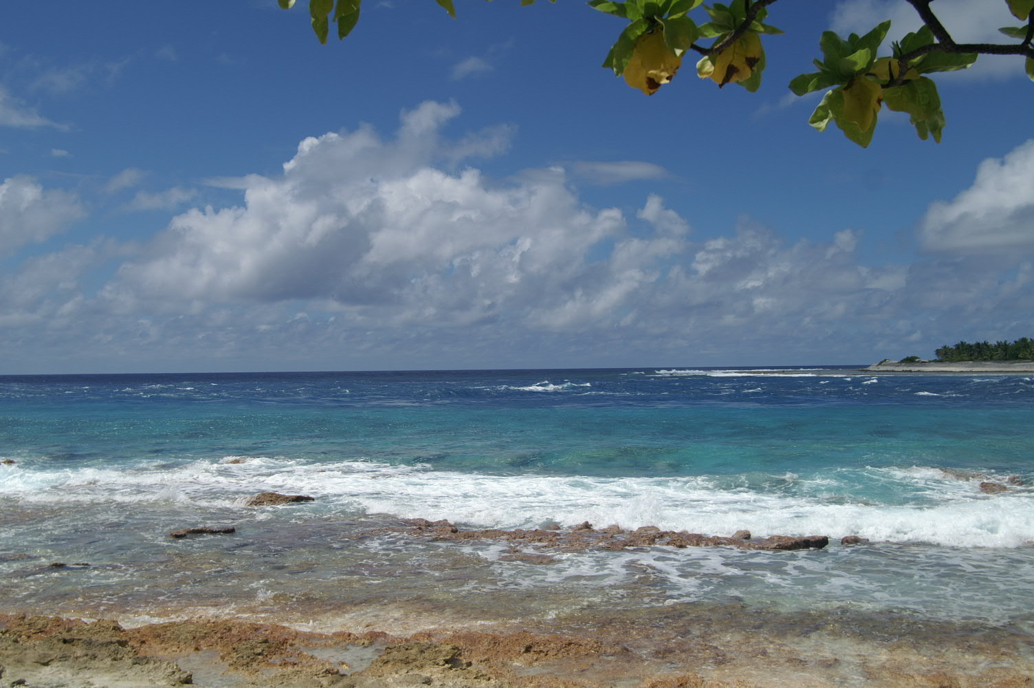 PICT0917.JPG