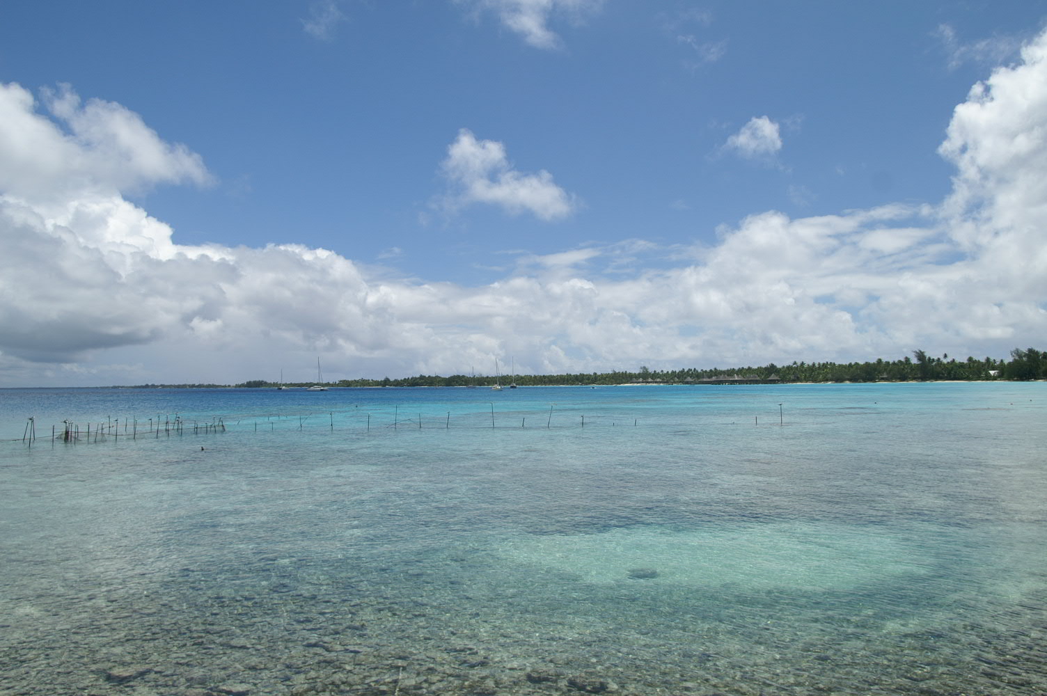 PICT0923.JPG
