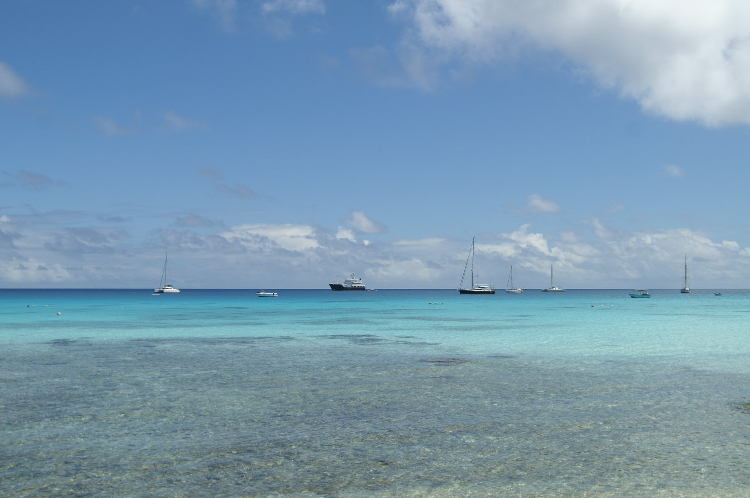 PICT0936.JPG