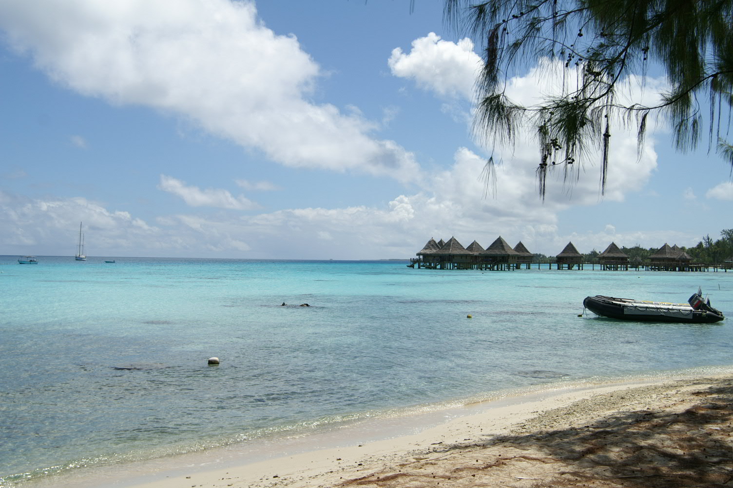 PICT0938.JPG