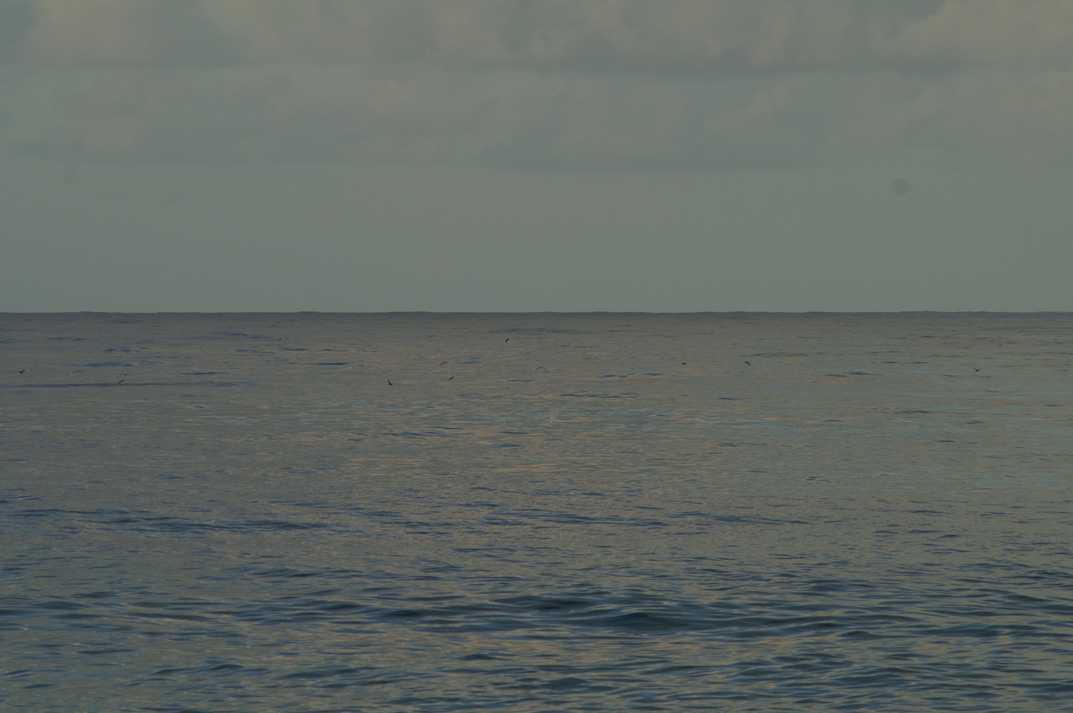 PICT0951.JPG