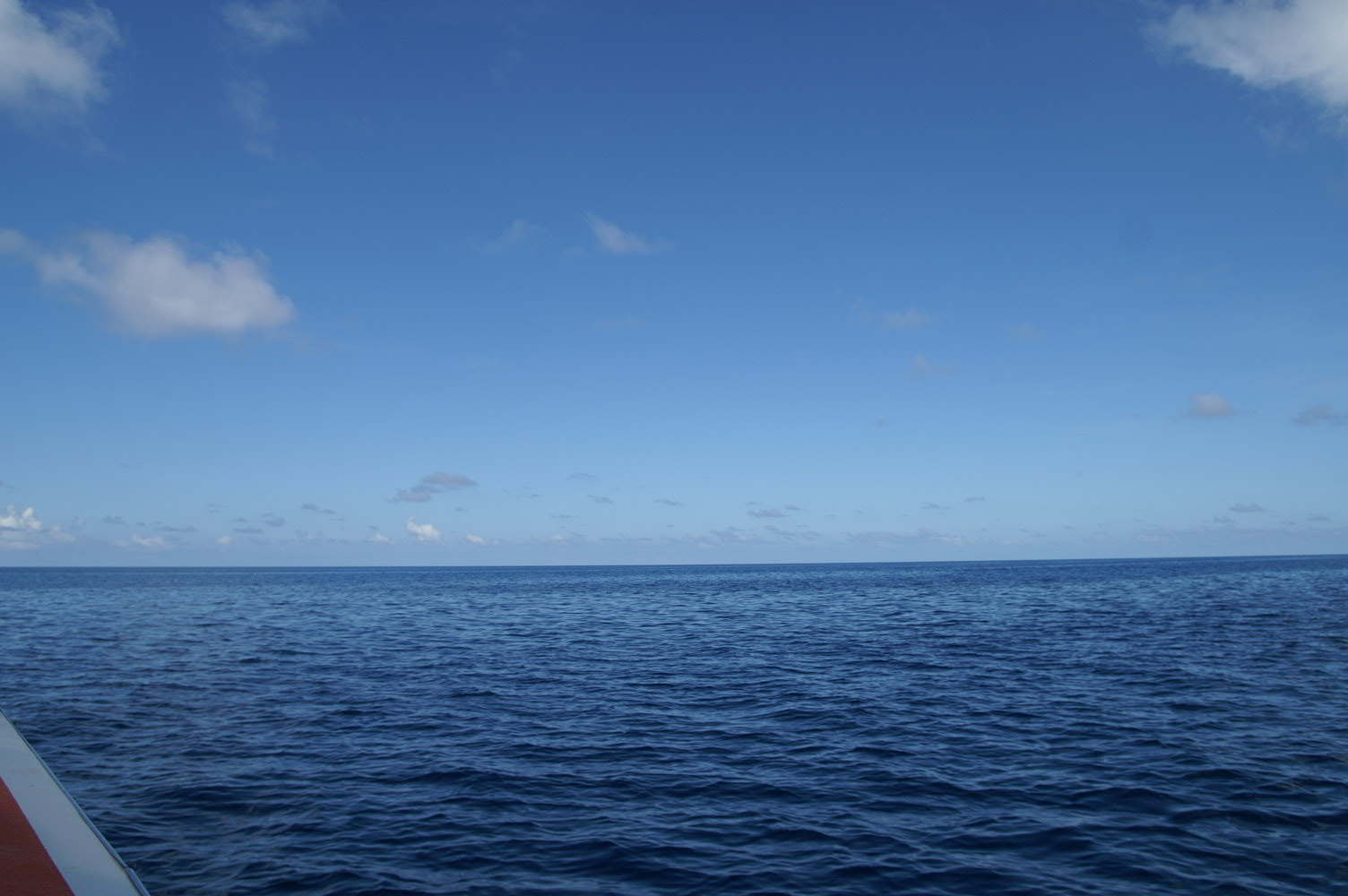 PICT0973.JPG