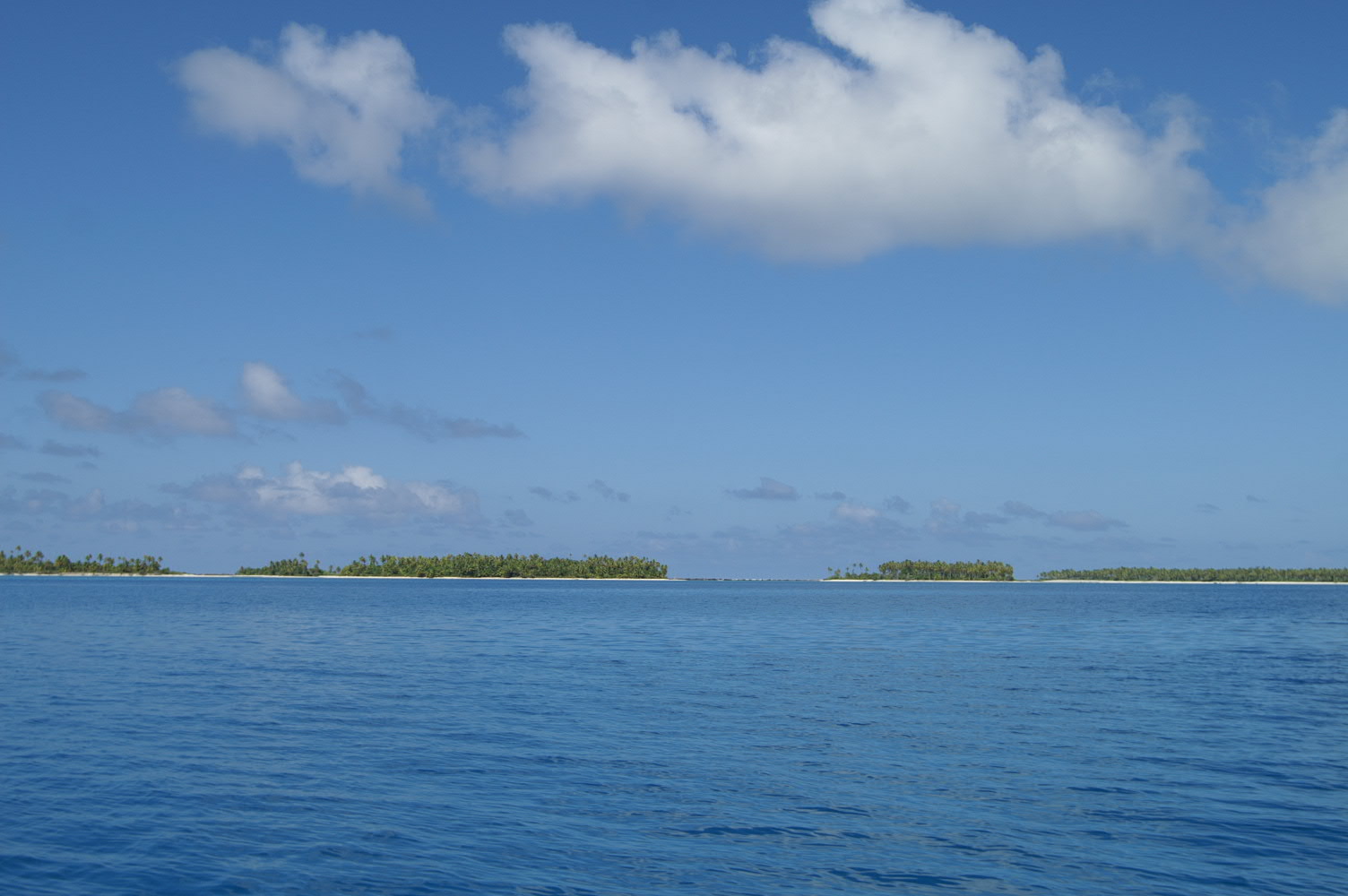 PICT0977.JPG