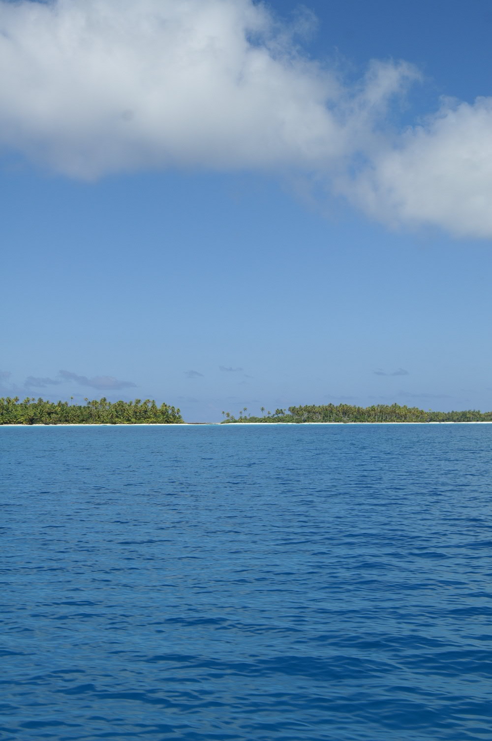 PICT0978.JPG