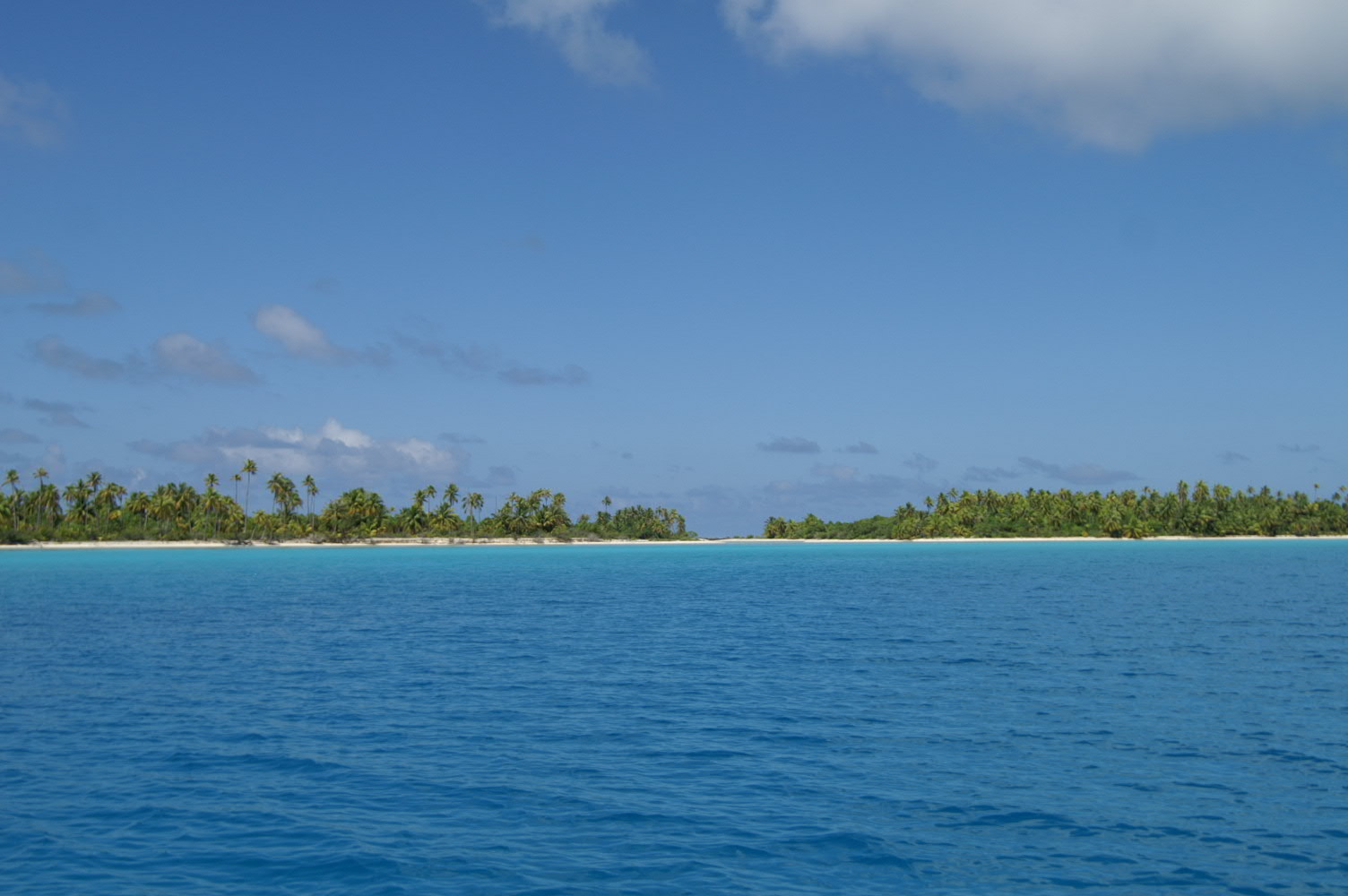 PICT0979.JPG