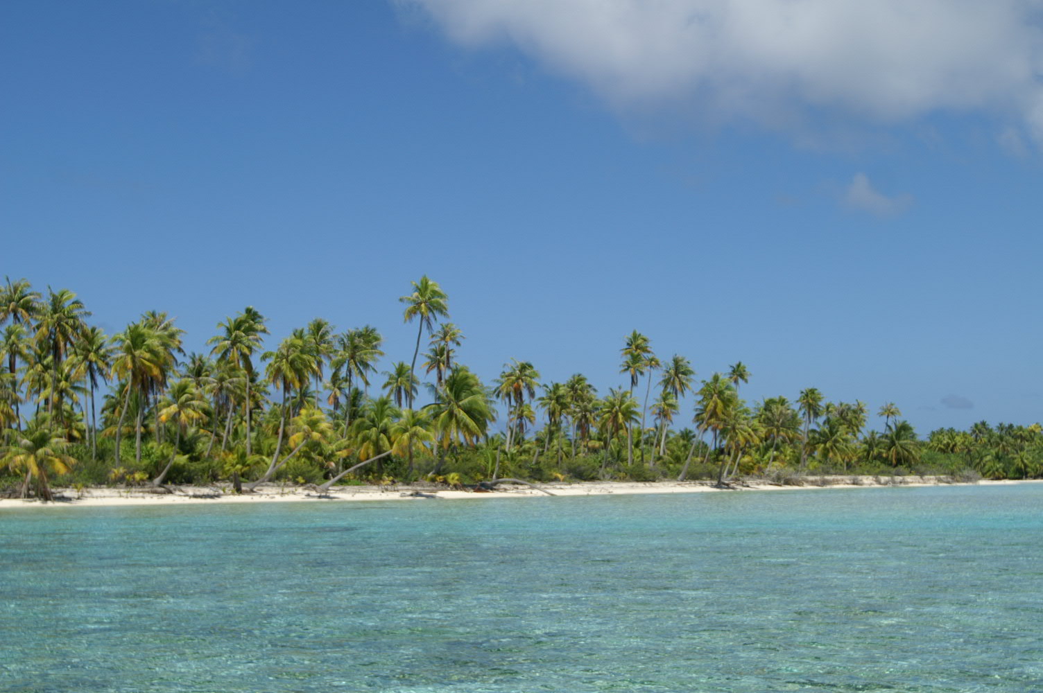 PICT0983.JPG