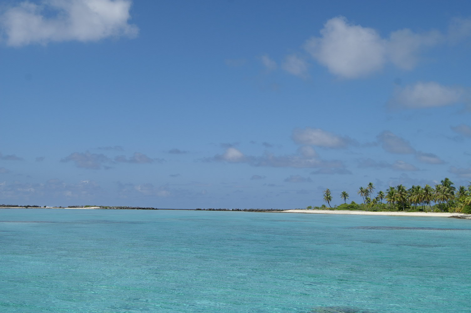 PICT0985.JPG