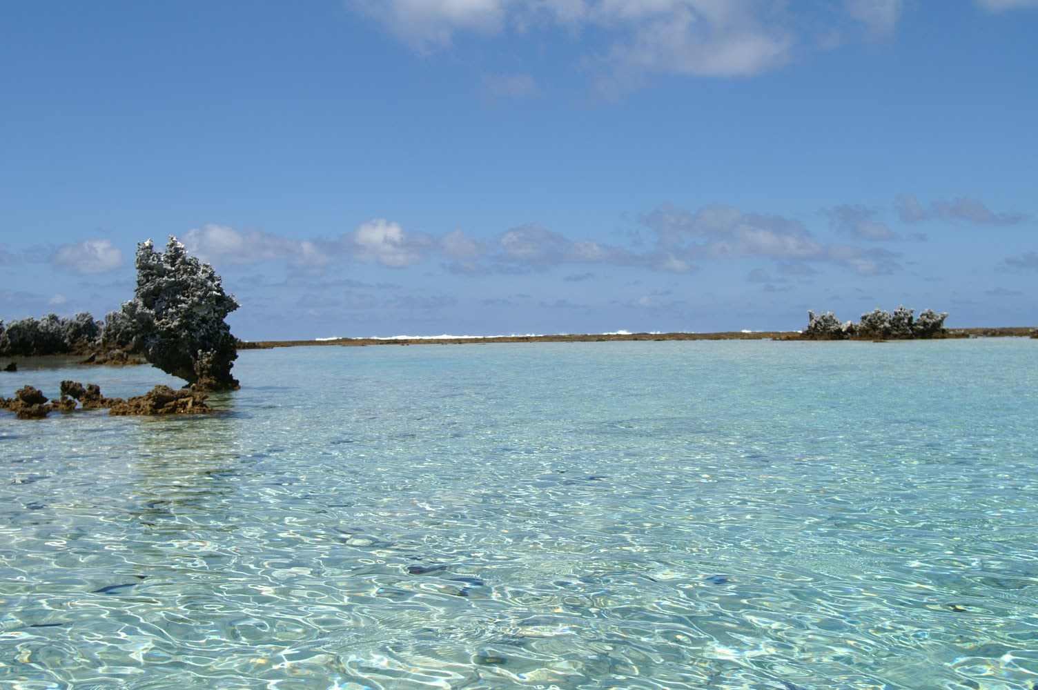PICT0989.JPG