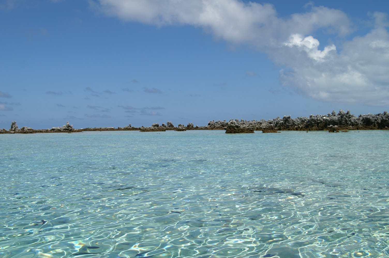 PICT0990.JPG
