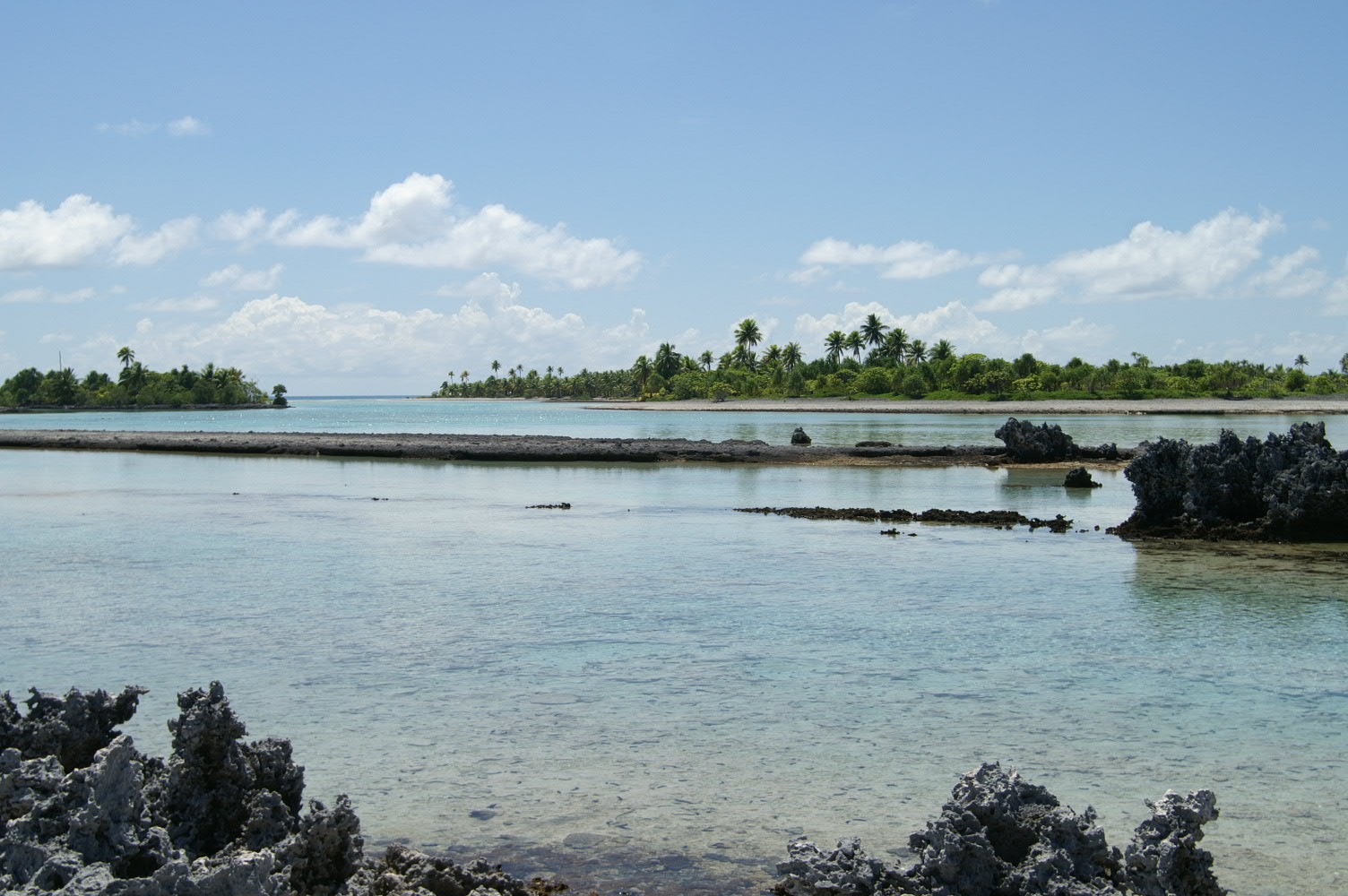 PICT0992.JPG