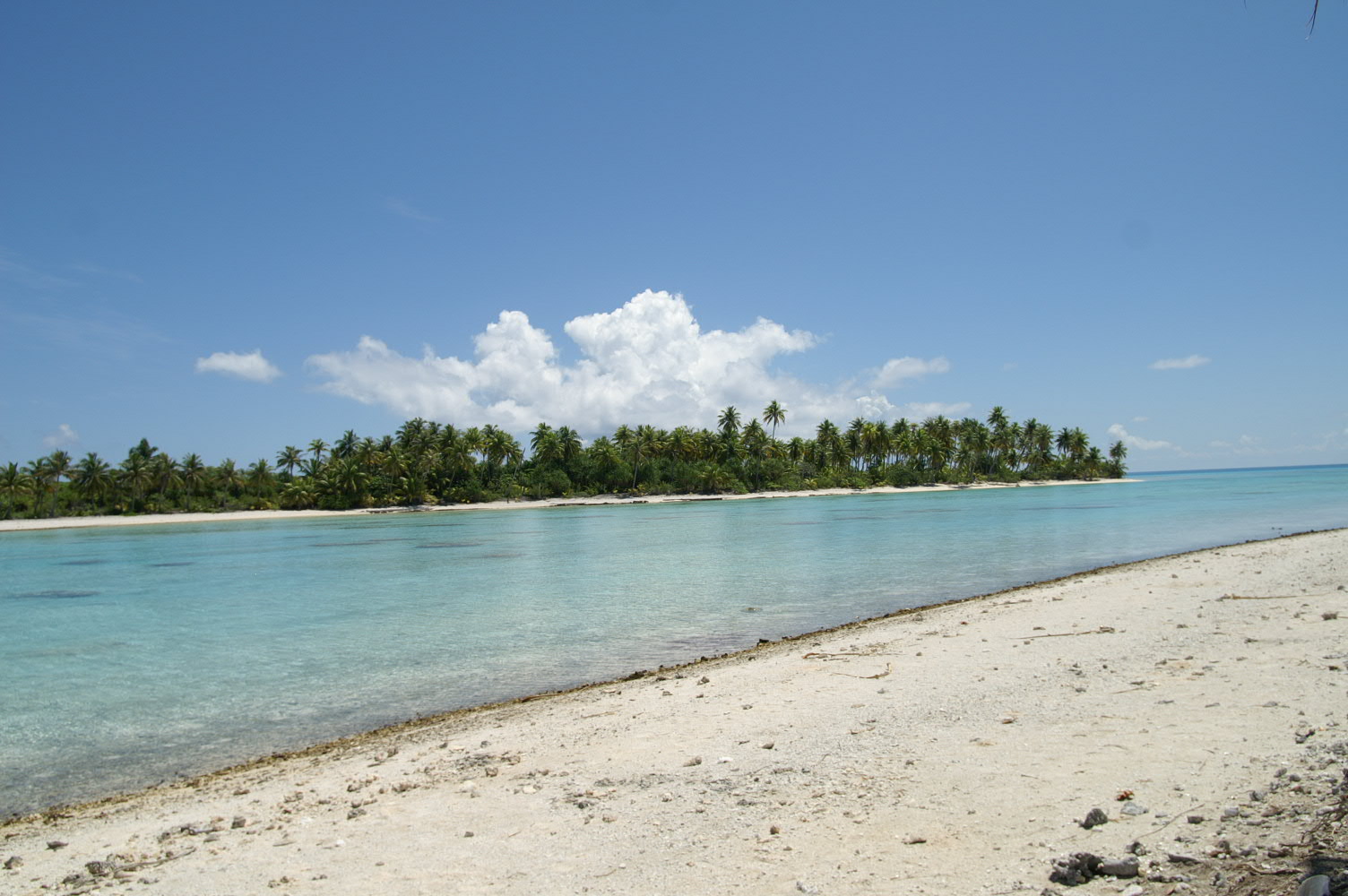 PICT0996.JPG