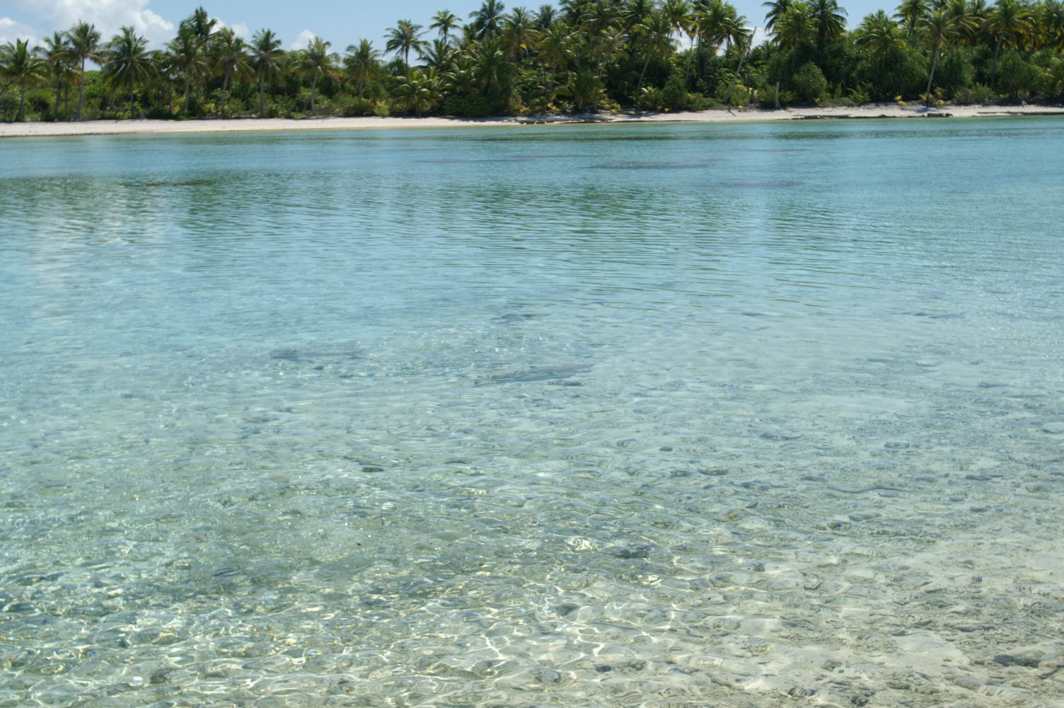 PICT0998.JPG