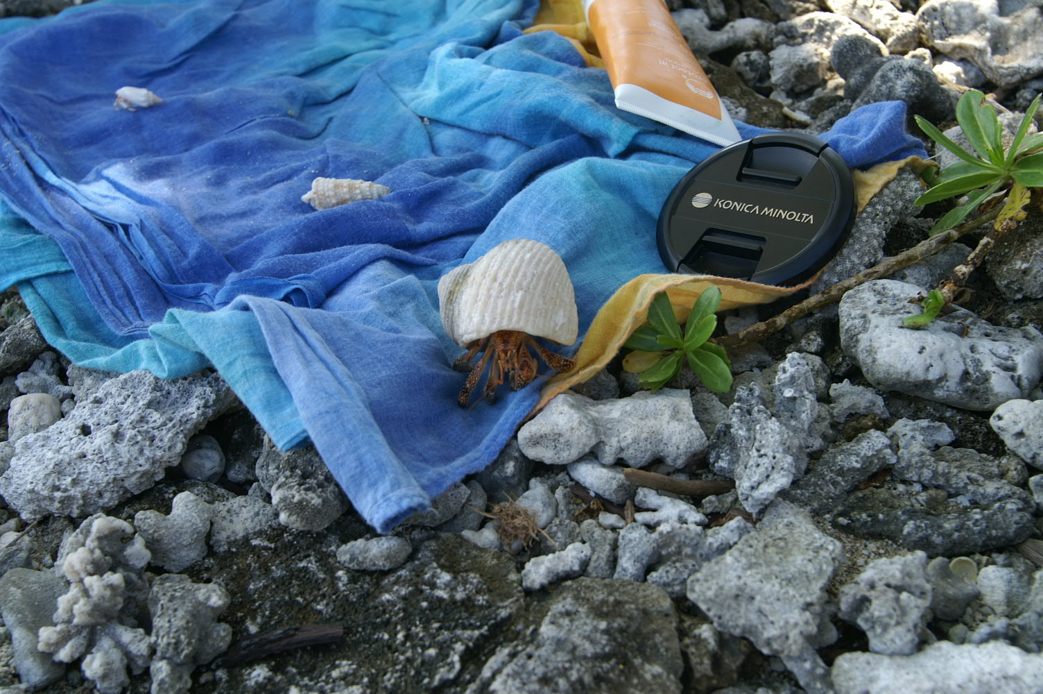 PICT1001.JPG