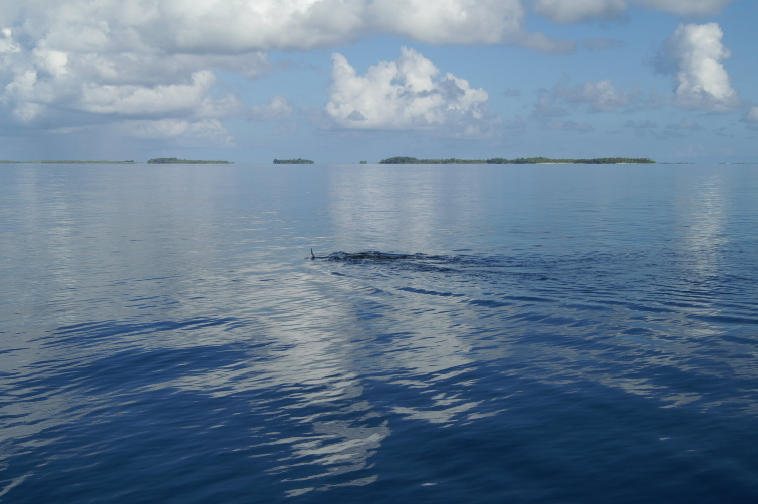 PICT1004.JPG
