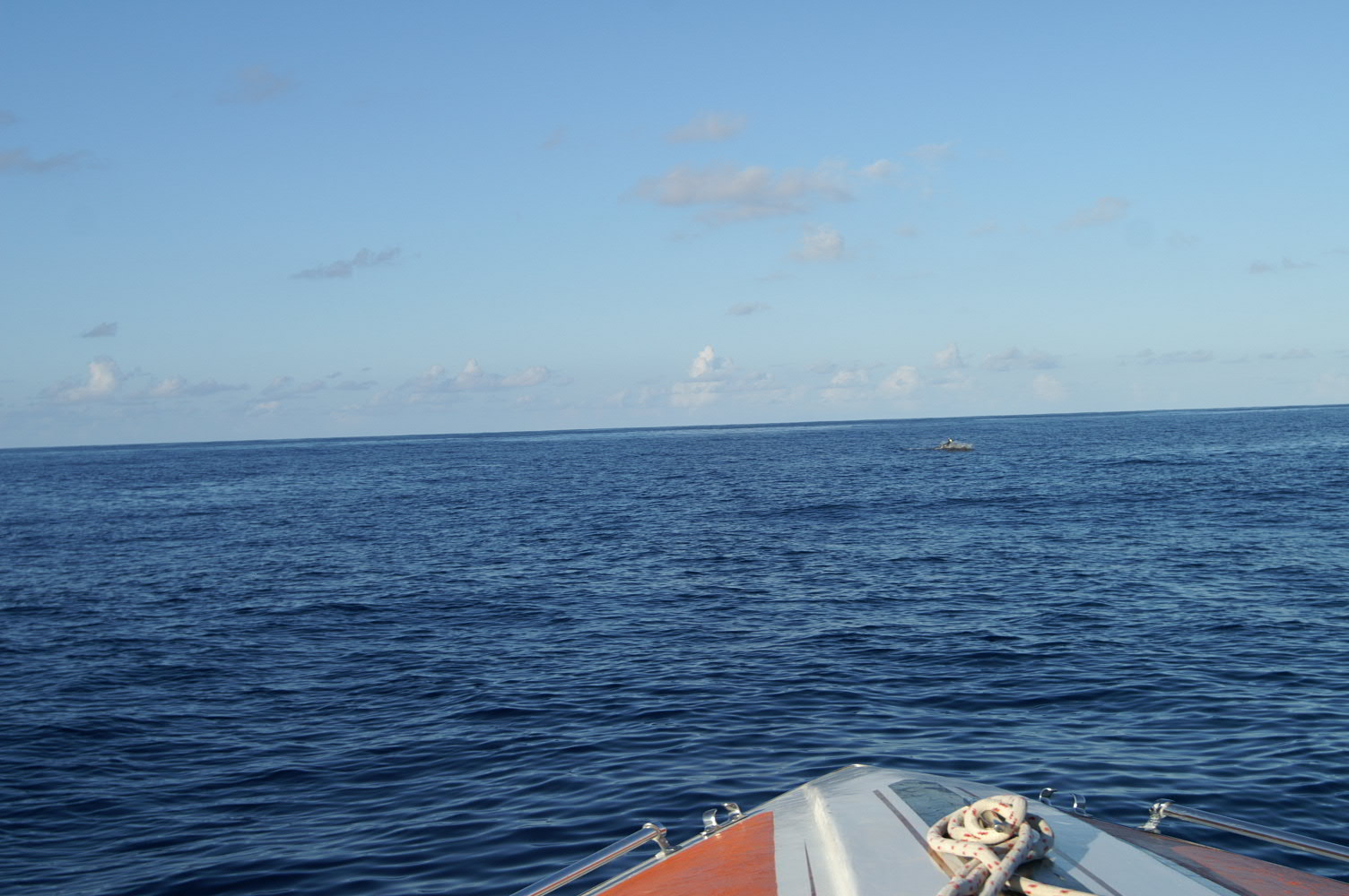 PICT1012.JPG