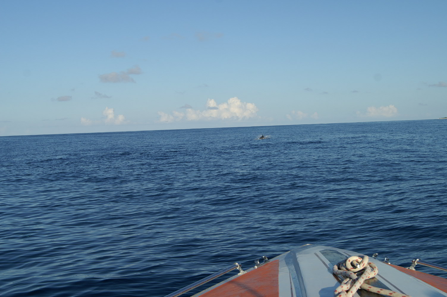 PICT1014.JPG