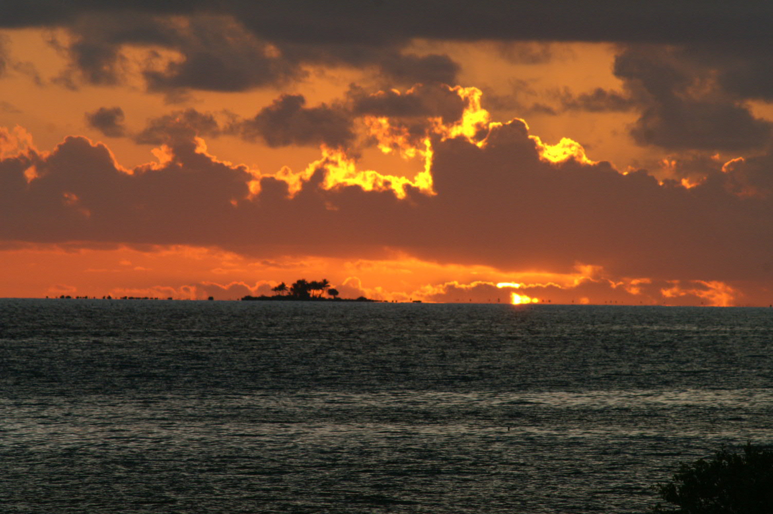 PICT1029.JPG
