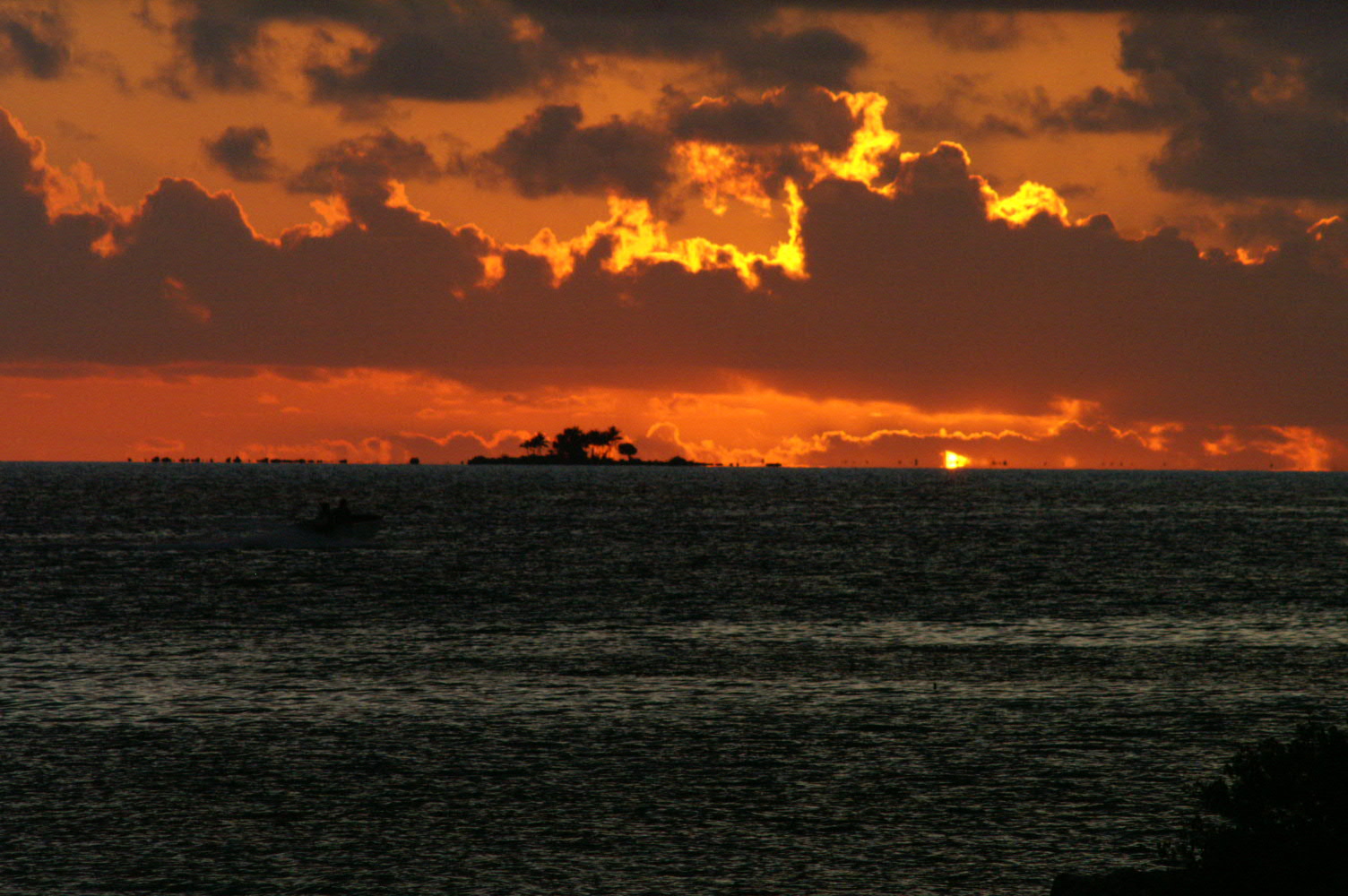 PICT1030.JPG