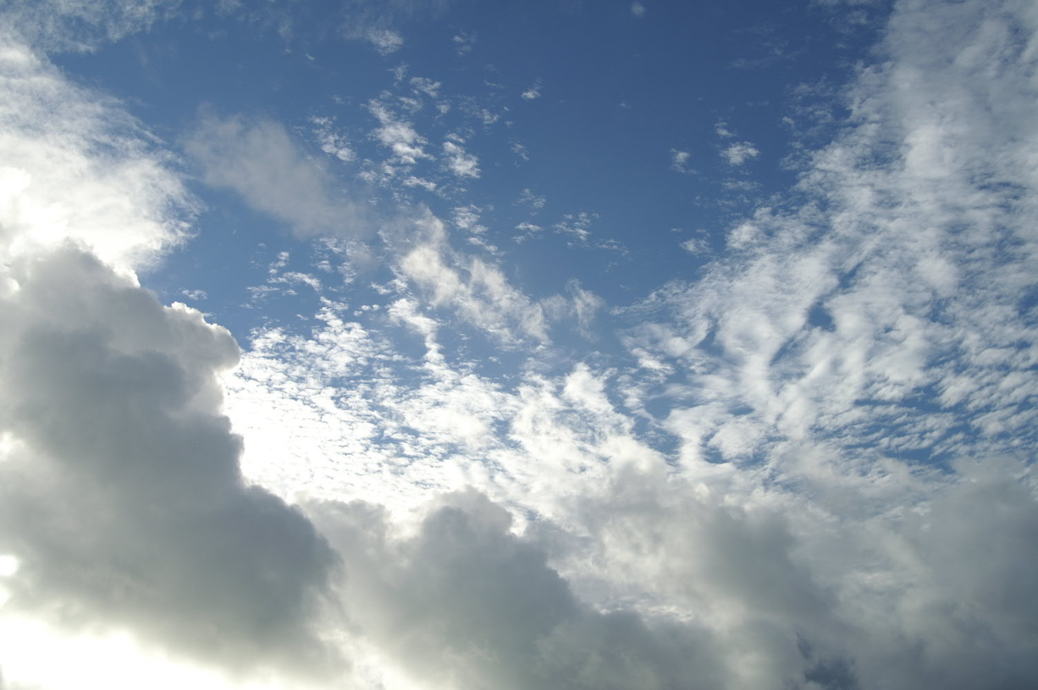 PICT1043.JPG