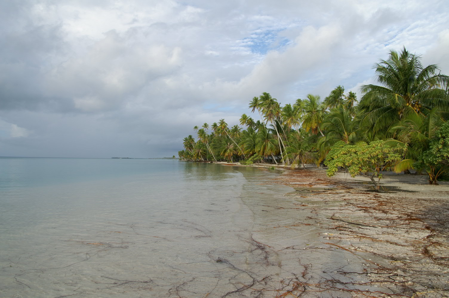 PICT1045.JPG