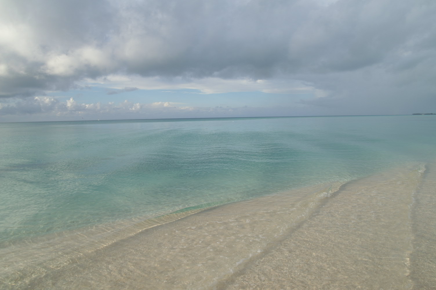 PICT1048.JPG