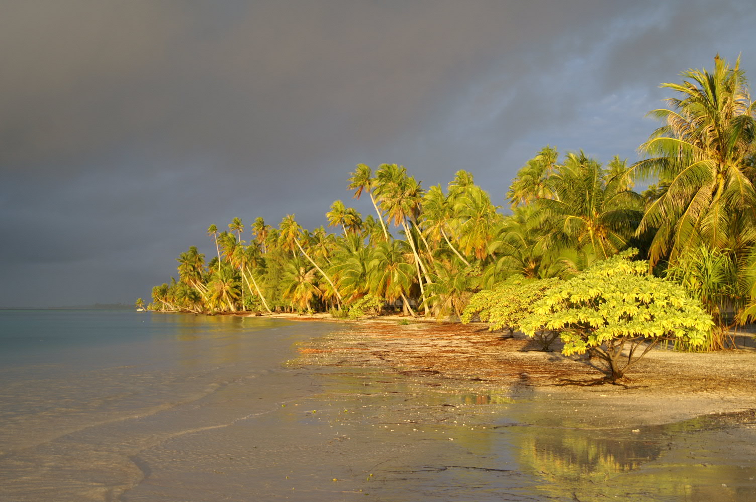 PICT1051.JPG