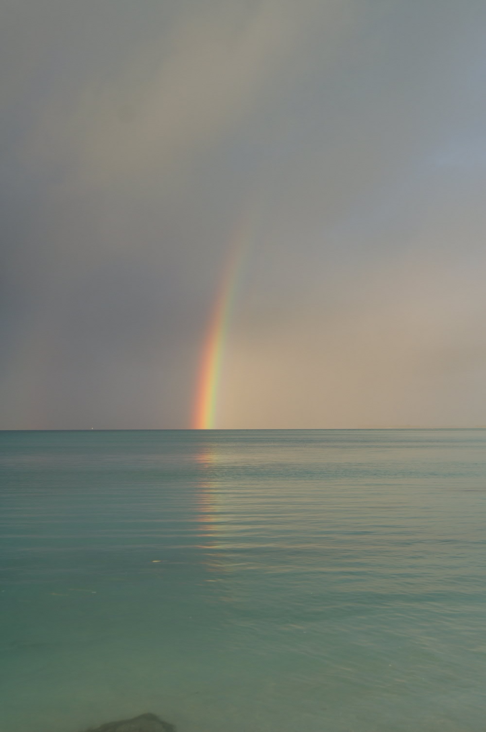 PICT1055.JPG