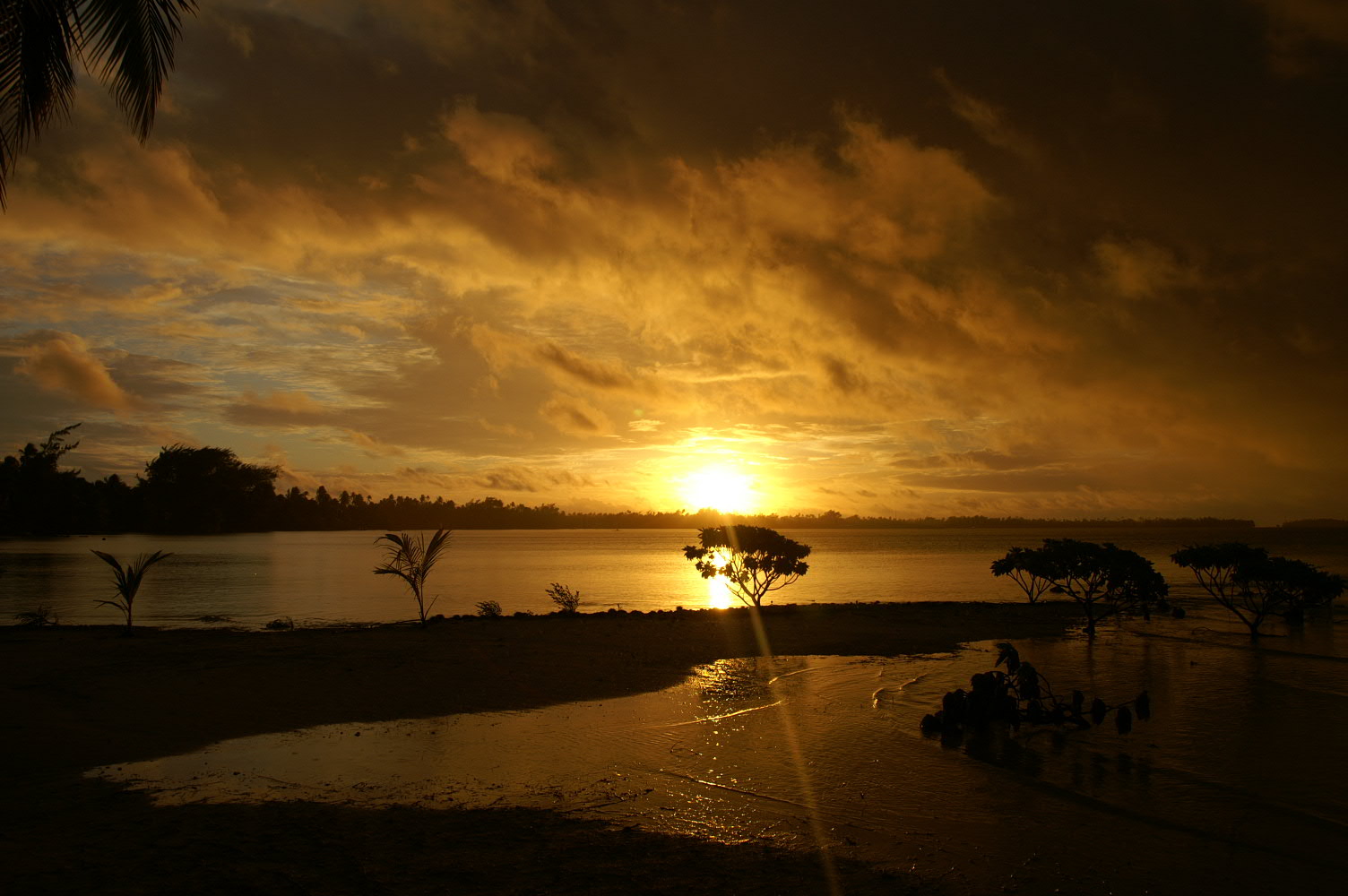 PICT1061.JPG