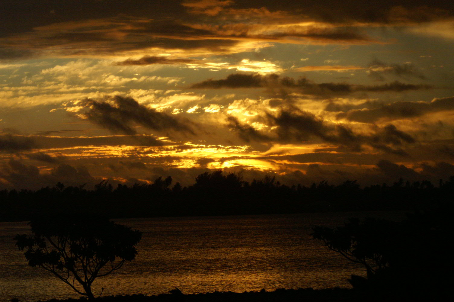 PICT1062.JPG