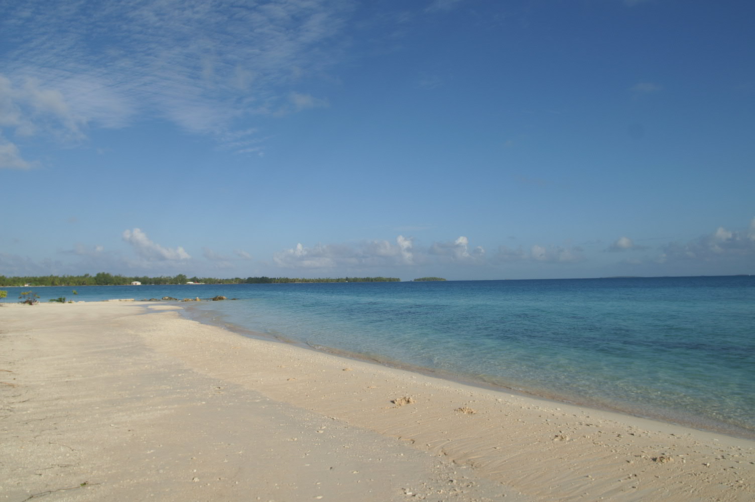 PICT1074.JPG