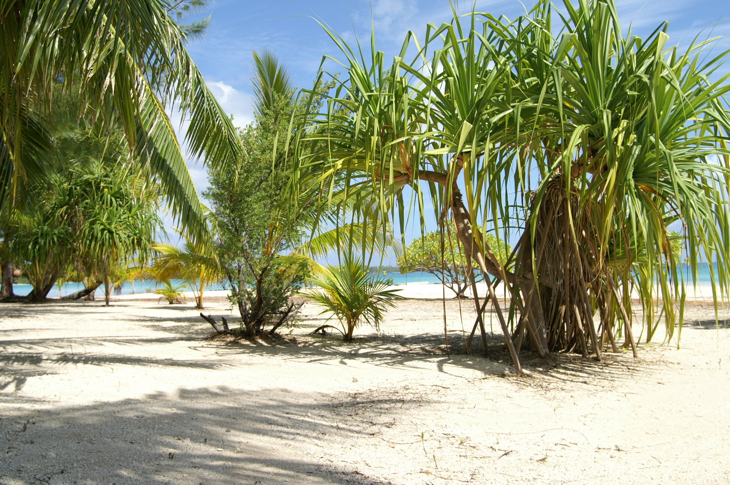 PICT1075.JPG