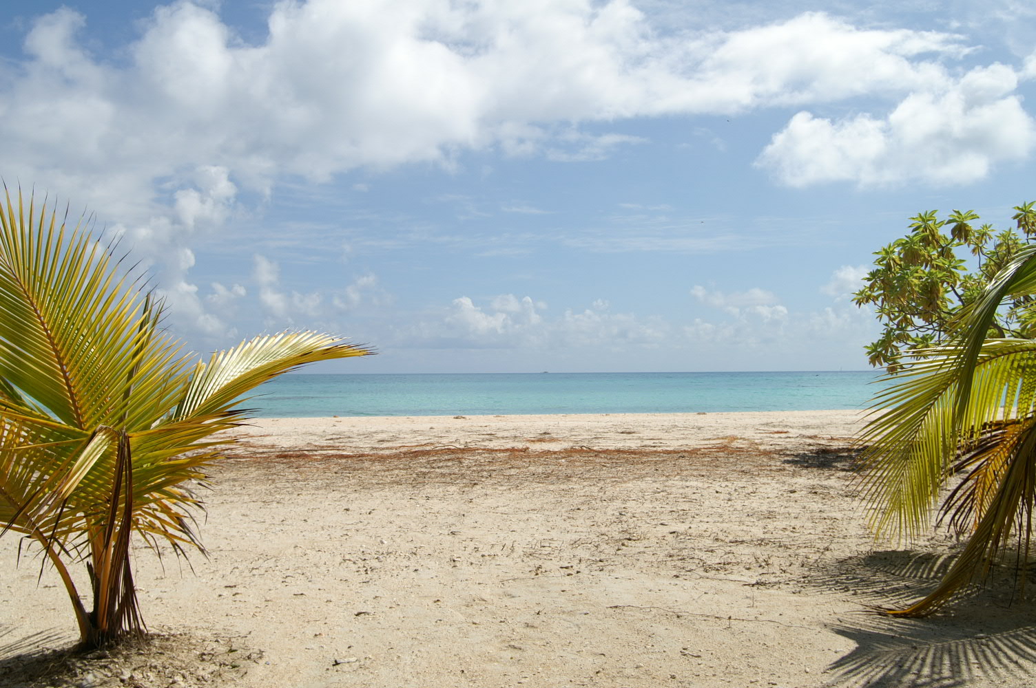 PICT1077.JPG