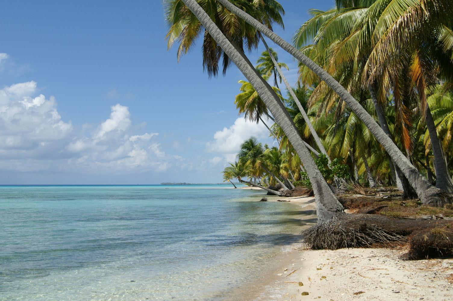 PICT1081.JPG