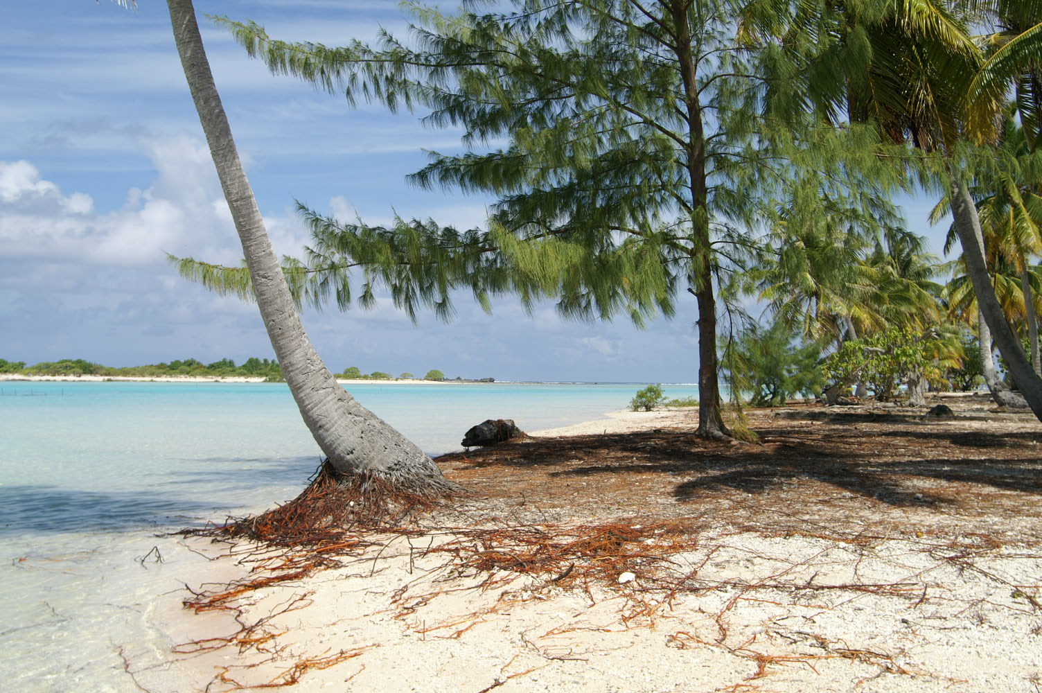 PICT1086.JPG