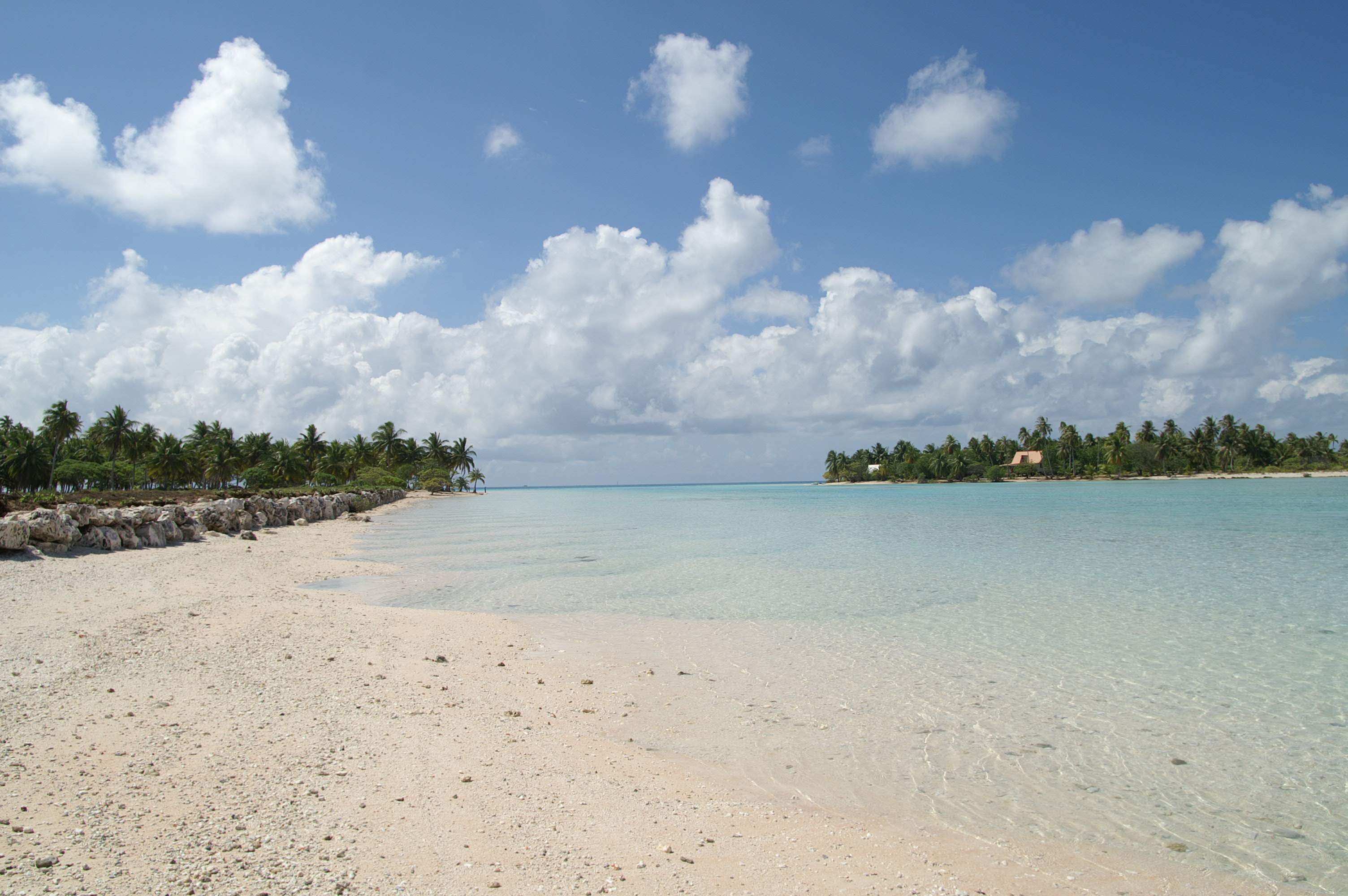 PICT1089.JPG
