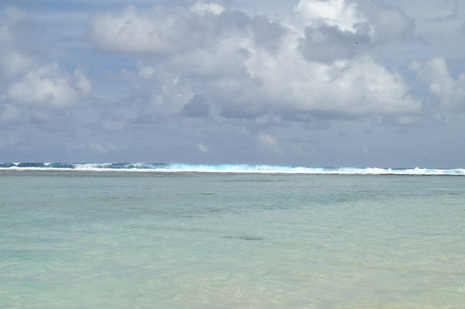 PICT1092.JPG