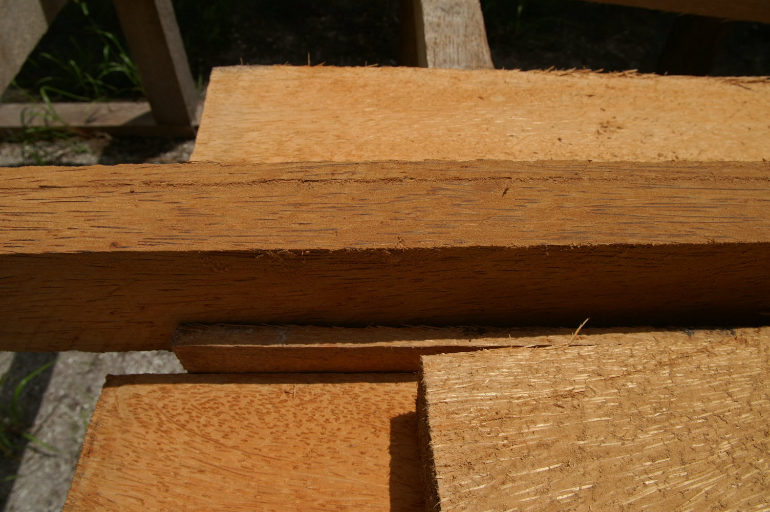 PICT1096.JPG