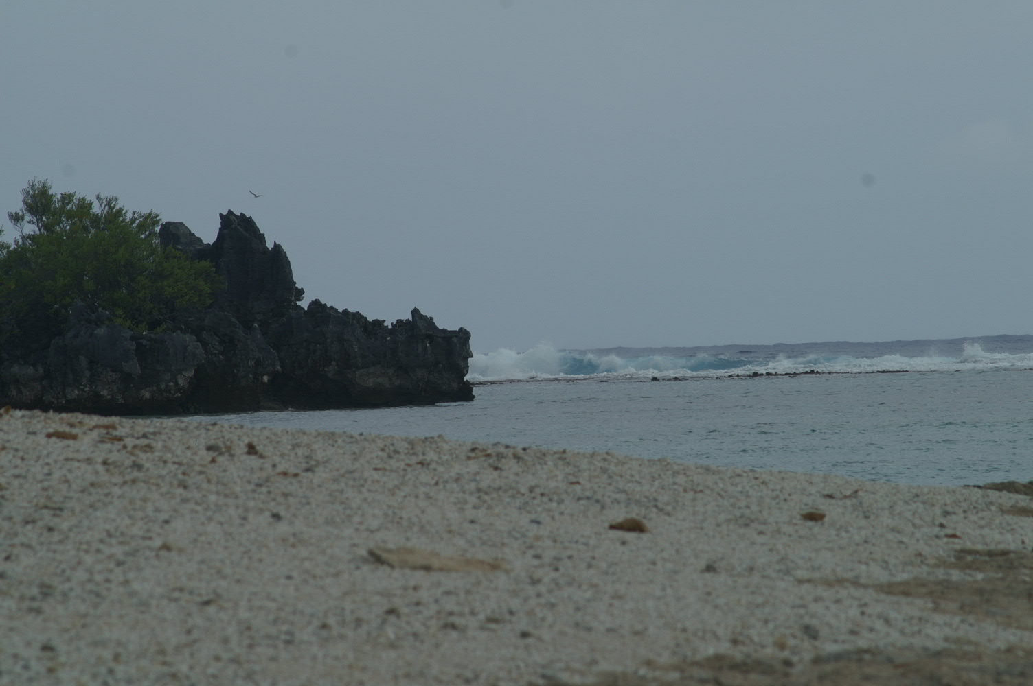 PICT1100.JPG