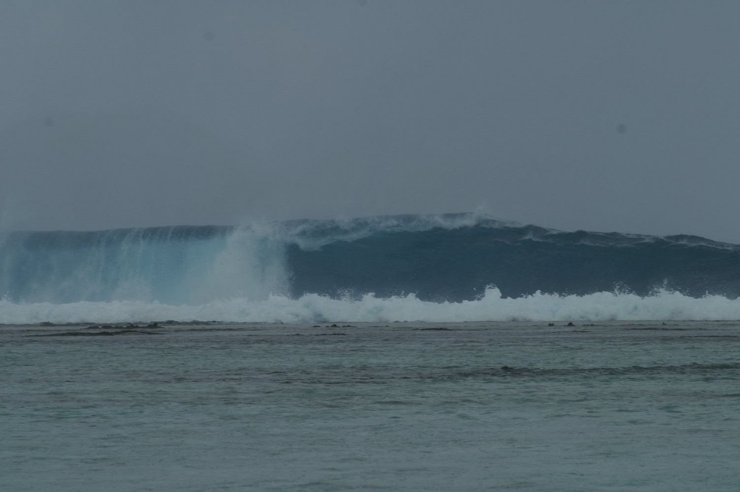 PICT1103.JPG