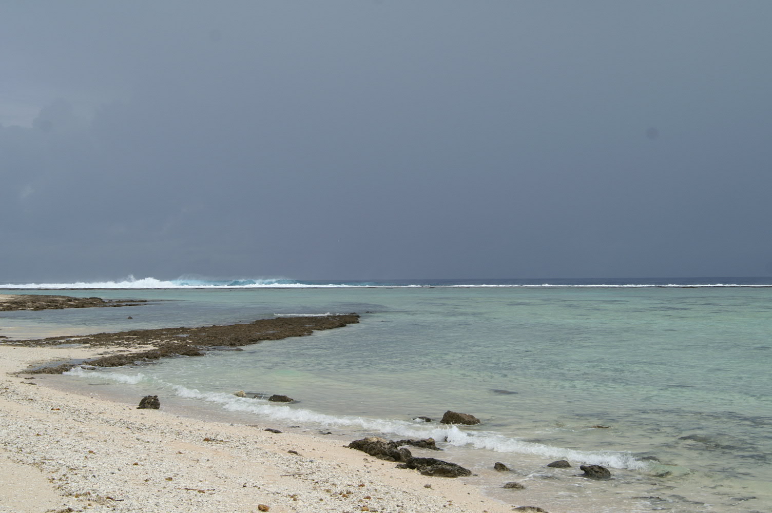 PICT1115.JPG