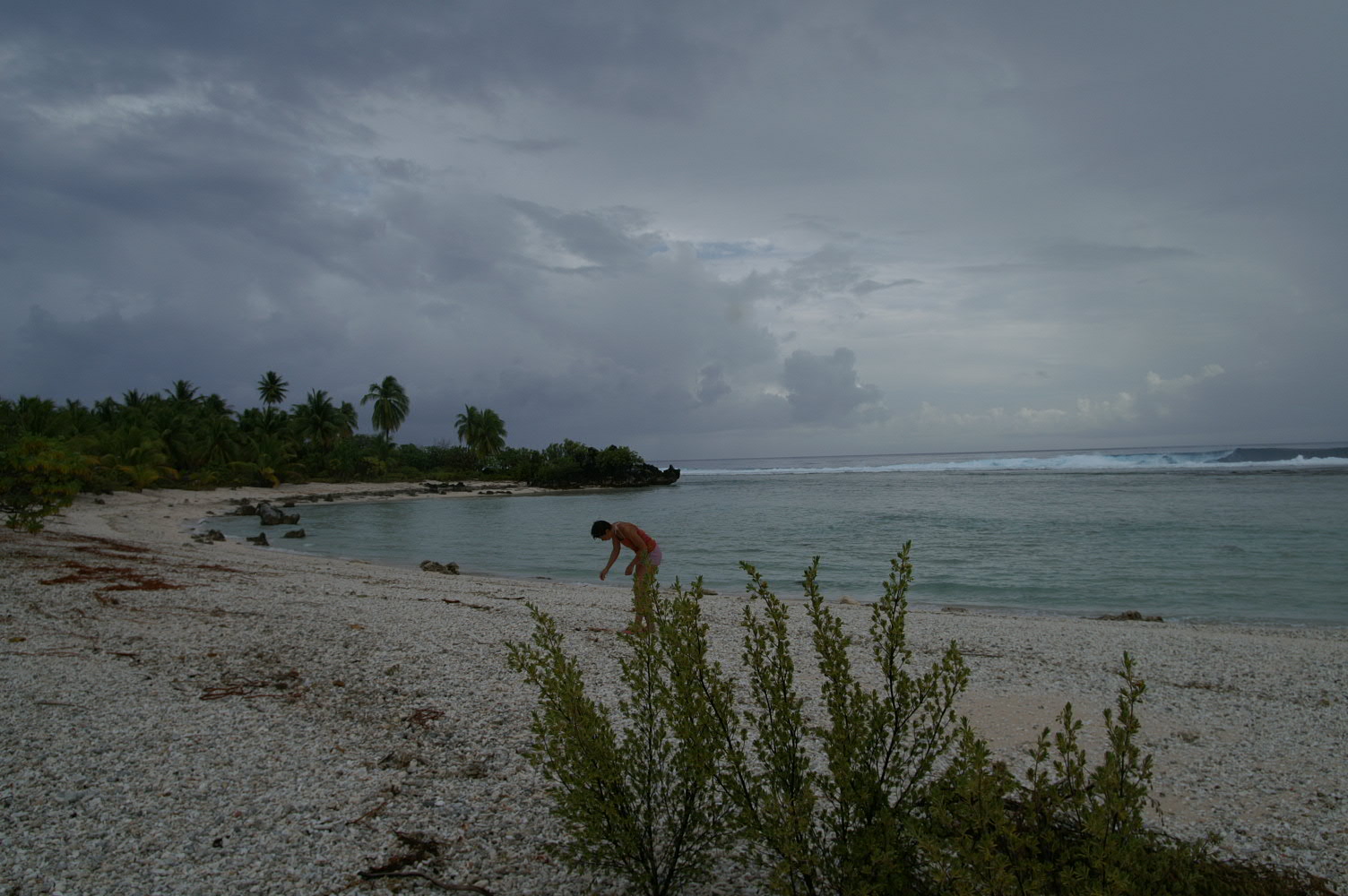 PICT1119.JPG