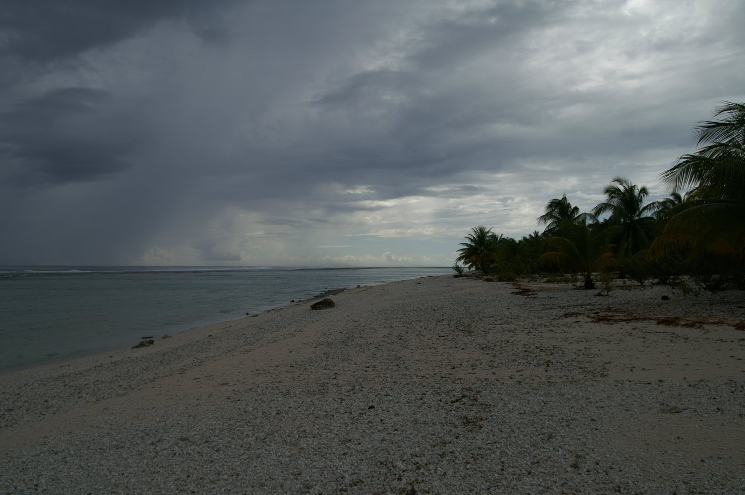PICT1120.JPG